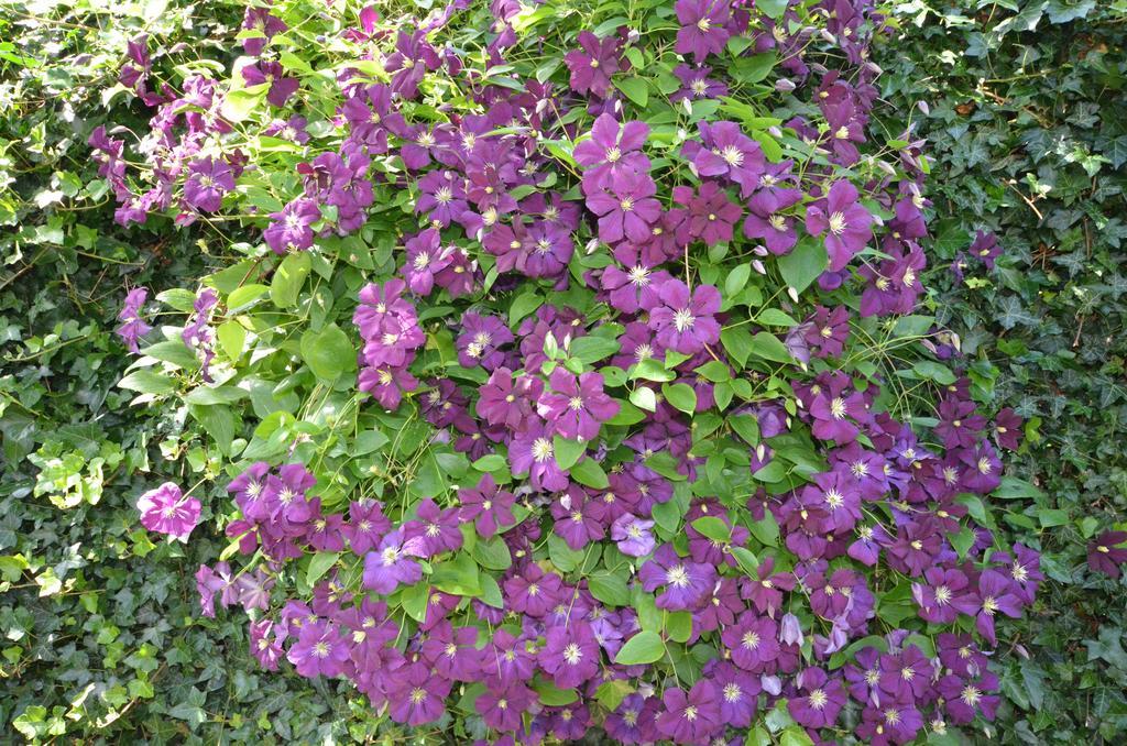 Bloemenhoeve Bed and Breakfast Birdaard Exterior foto